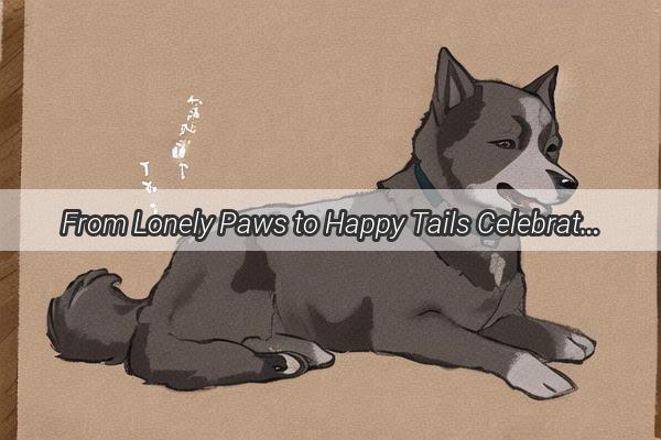 From Lonely Paws to Happy Tails Celebrating the New Life of Our Beloved Canine Companion